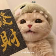 Avatar of TanW